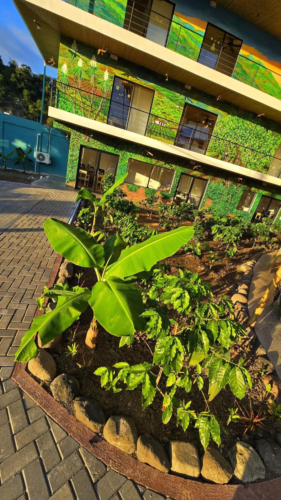 Bonding Coffee Roaster Cafe & Hotel Quepos Exterior photo