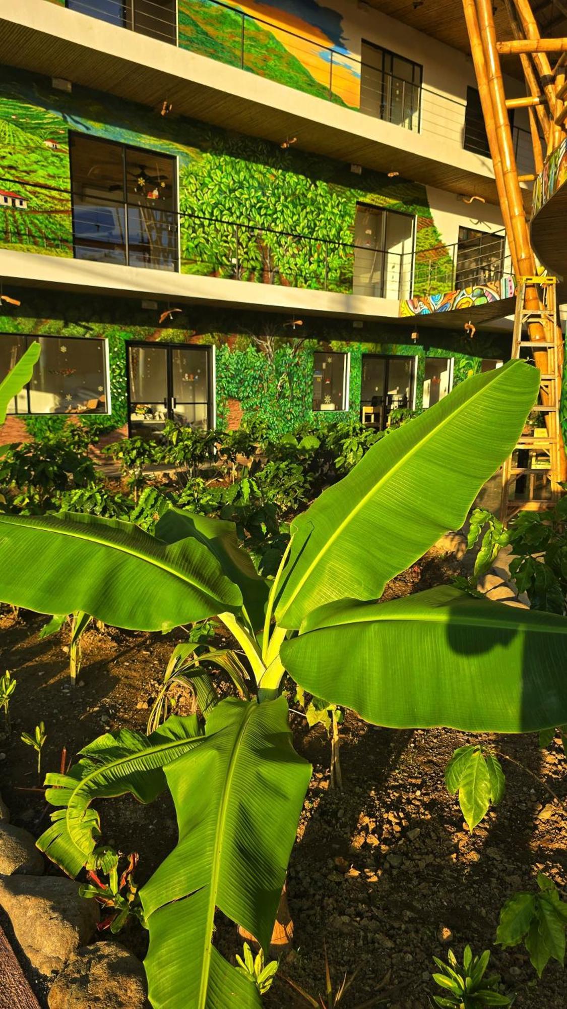 Bonding Coffee Roaster Cafe & Hotel Quepos Exterior photo